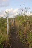 4 Acres Fertile Land for Sale in Vinuni, Tiwi, Kwale County - 4