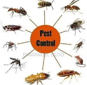 Nyali Mombasa Pest Control Services