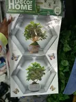30x42cm Decorative Wall Stickers (Pack of 3) - 1