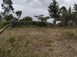 Land for Sale in Mua Hills with Panoramic Views - 1