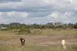 Affordable Plots for Sale in Juja Farm - 2