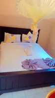 Accommodation and Accompaniment Services - 2