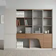 Executive File Wall Unit - 5