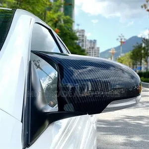 Toyota Mark X 2010-2018 Batman Side Mirror Covers