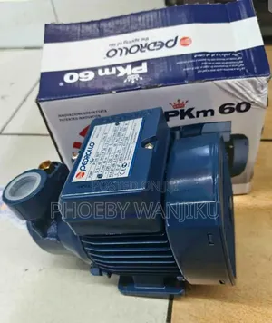 Quality Pedrollo Booster Water Pump 0.5HP