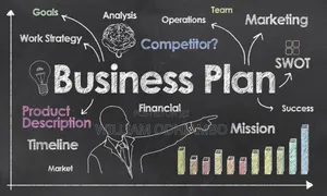 Business and Strategic Plan Drafting