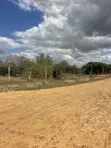 27 Acres Farmland for Sale in Marafa Majengo Ya Wakala - 2