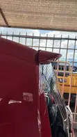 Toyota Spade 1.5 2019 Red - 4