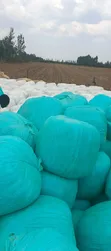 Corn Silage - Wrapped - 3