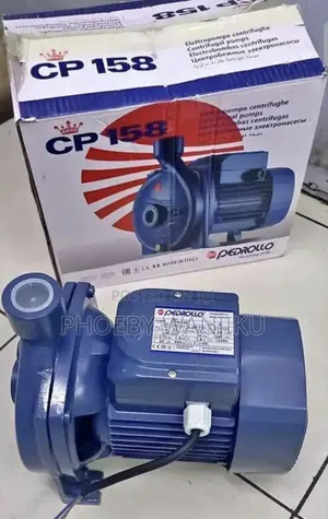 Pedrollo 1 HP Water Pump
