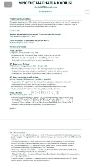 Sales and Marketing Executive CV
