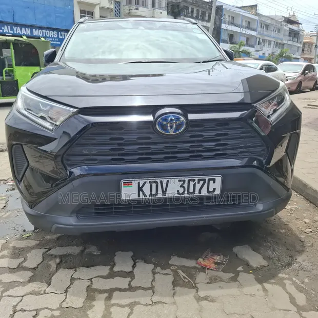 Toyota RAV4 2018 Hybrid - 1