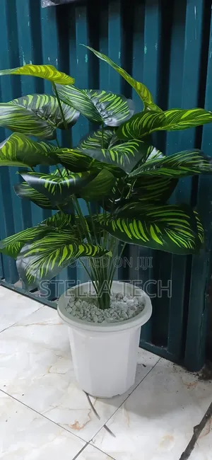 Restocked! Artificial Home Decor Plants Available