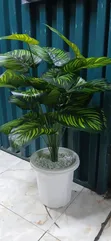 Restocked! Artificial Home Decor Plants Available - 1
