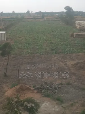 1.25 Acres Land for Sale in Kajiado Near Rockfield High School