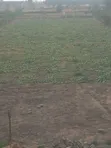 1.25 Acres Land for Sale in Kajiado Near Rockfield High School - 2