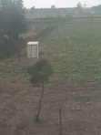 1.25 Acres Land for Sale in Kajiado Near Rockfield High School - 5