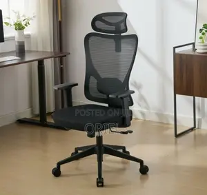 Orthopedic High Back Office Chair - Brand New