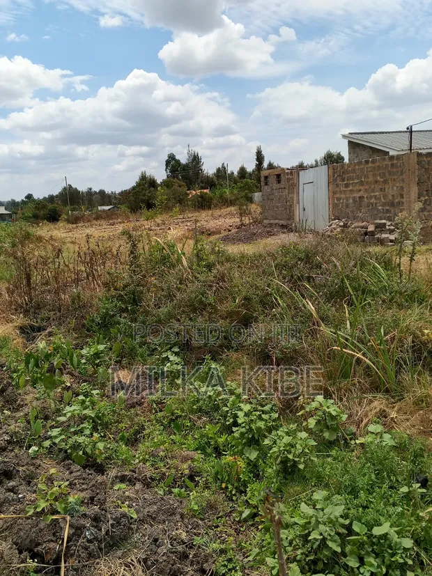 Kiganjo Plot for Sale - 40x60 - 1