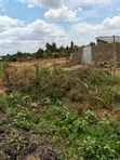 Kiganjo Plot for Sale - 40x60 - 1