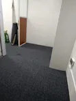 Grey Standard Wall-to-Wall Carpet - 3