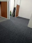 Grey Standard Wall-to-Wall Carpet - 4