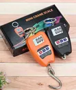 Digital Mini Crane Scale - 1