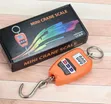Digital Mini Crane Scale - 2