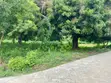 Prime 1/8-Acre Plots for Sale, Casuarina, Malindi - 1