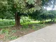Prime 1/8-Acre Plots for Sale, Casuarina, Malindi - 3