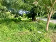 Prime 1/8-Acre Plots for Sale, Casuarina, Malindi - 5