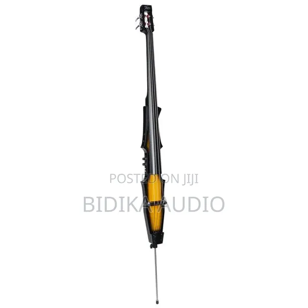 Electric Upright Bass - Brand New - 1