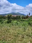 Prime Mixed-Use Land in Ngong - 1
