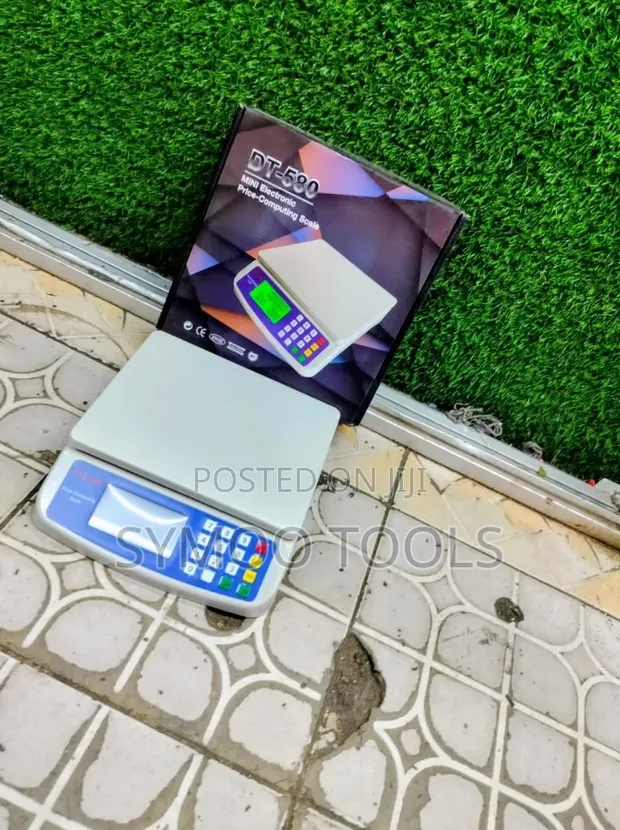 DT-580 Mini Electronic Price-Computing Scale - 1