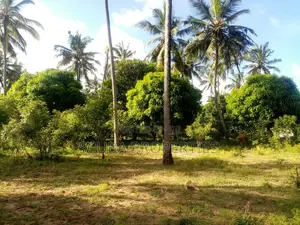 One Acre Vacant Plot for Sale in Gede