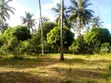 One Acre Vacant Plot for Sale in Gede - 1