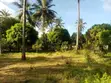 One Acre Vacant Plot for Sale in Gede - 2