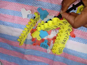 Ear Tags for Sheep and Goats