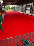 Red Artificial Grass Carpet - 15mm - 1