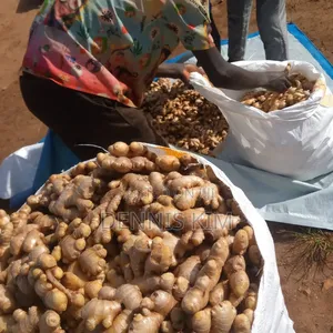 Ugandan Ginger