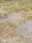 Kitengela Milimani Kathonzwe Court 100x100 Residential Plot - 2