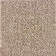 Beige Standard Wall to Wall Carpet - 2