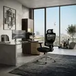 Prestige Executive High Height Orthopedic Office Chair - 1