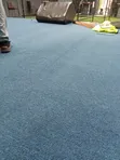 Blue Standard Wall-to-Wall Carpet - 2