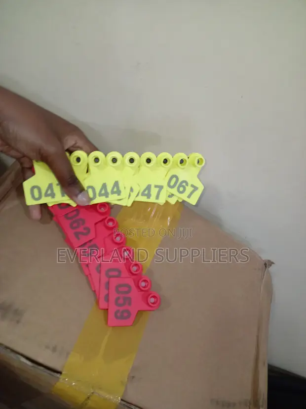 Ear Tag - One Identity - 1