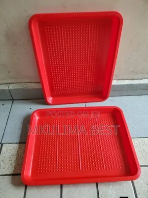 Rectangular Feeding Trays - Brand New