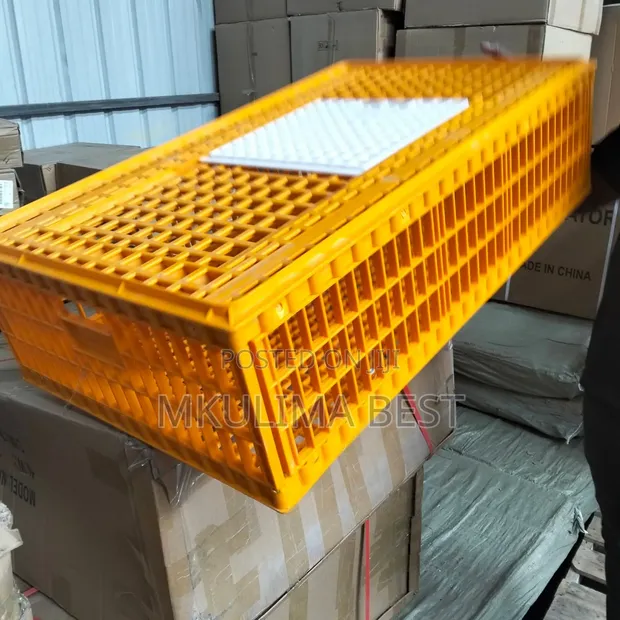 Poultry Transport Crate - 100 Chicks - 1
