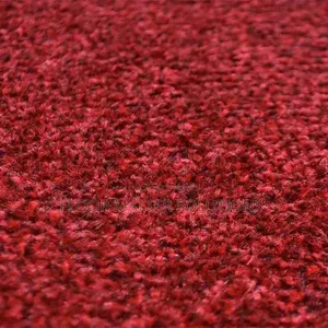 Red Standard Wall-to-Wall Carpet