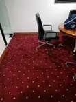 Red Executive Wall-to-Wall Carpet - 3