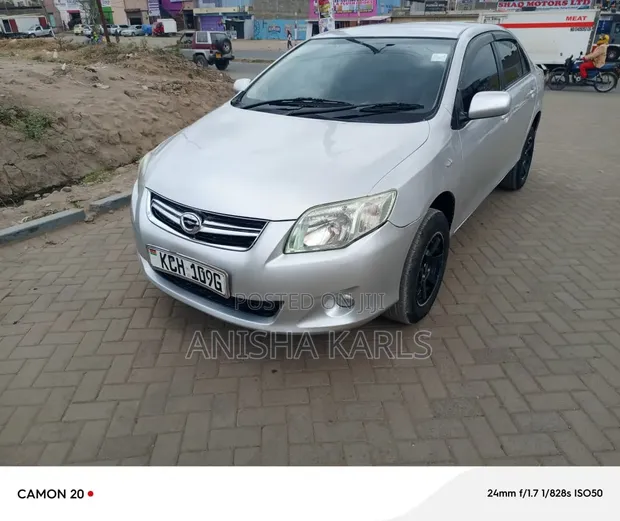 Toyota Axio 2009 Silver - 1